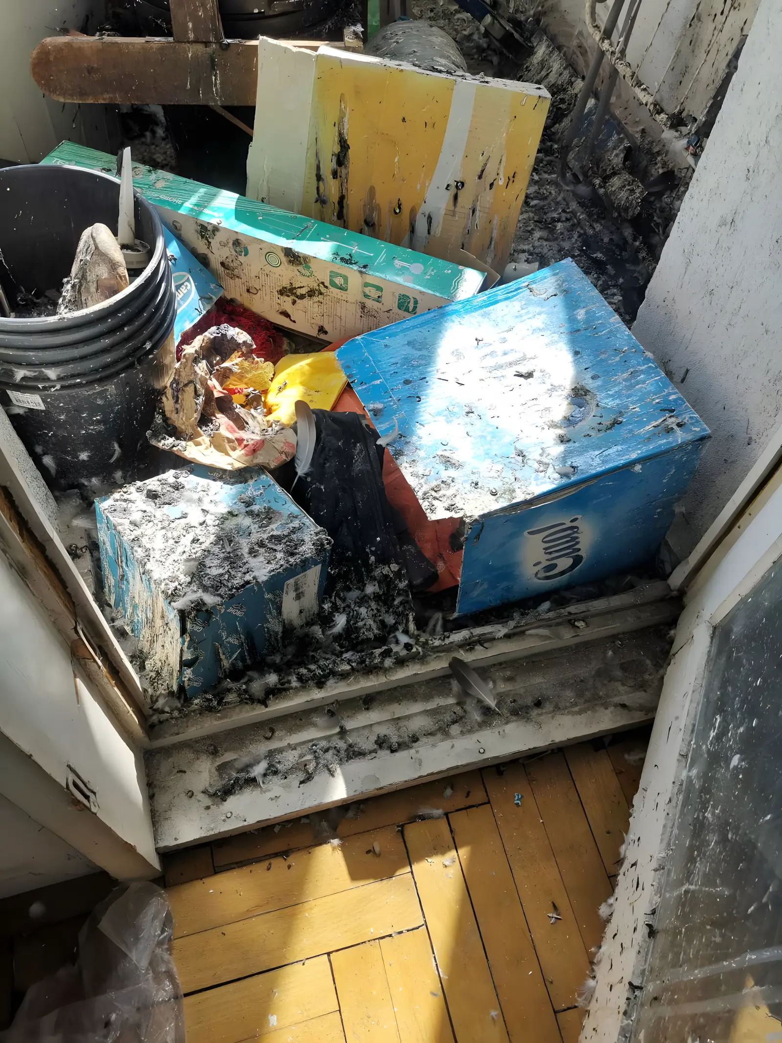 Почистена повърхност след премахване на замърсяване от гълъби в София